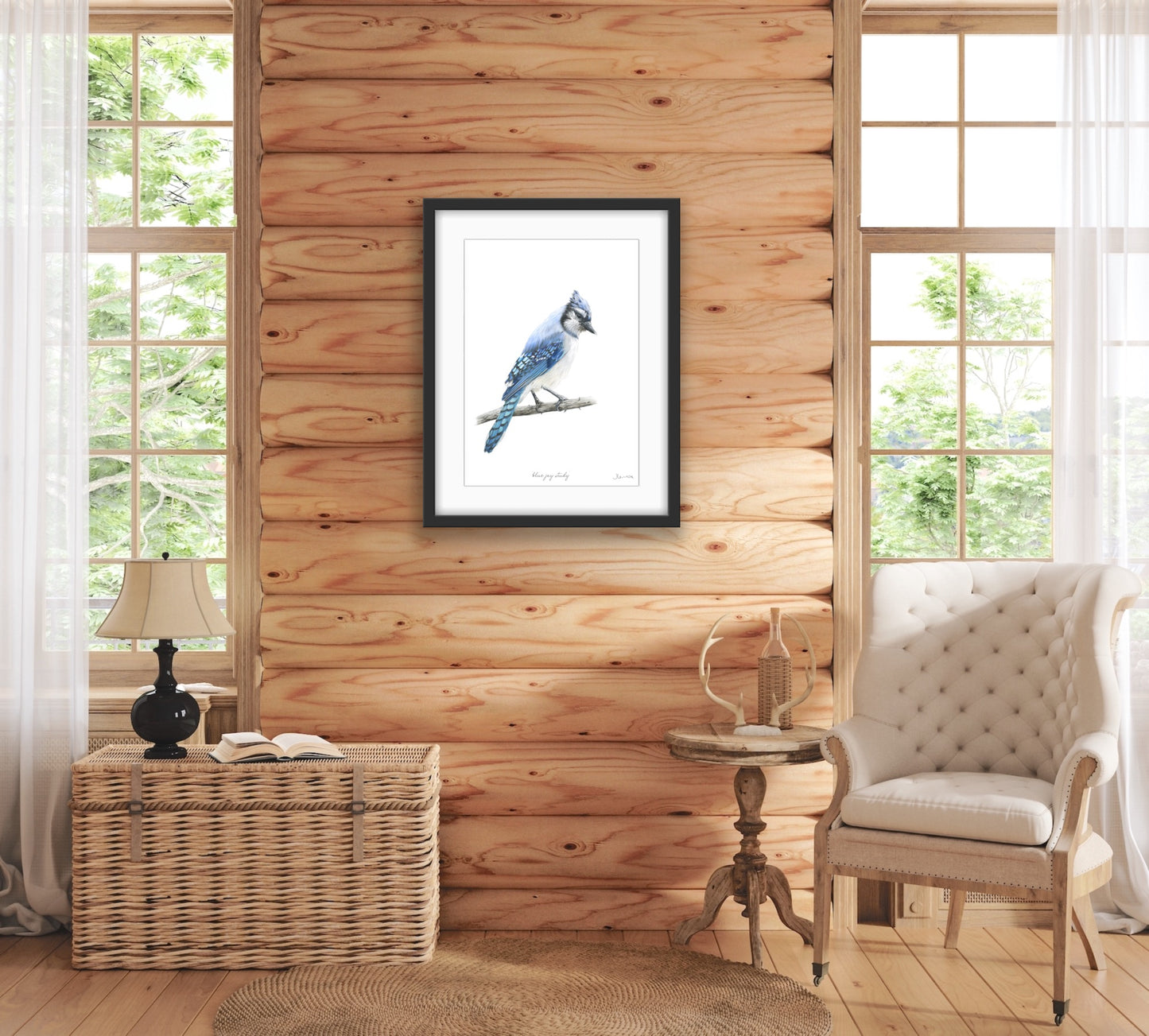 Blue Jay Study
