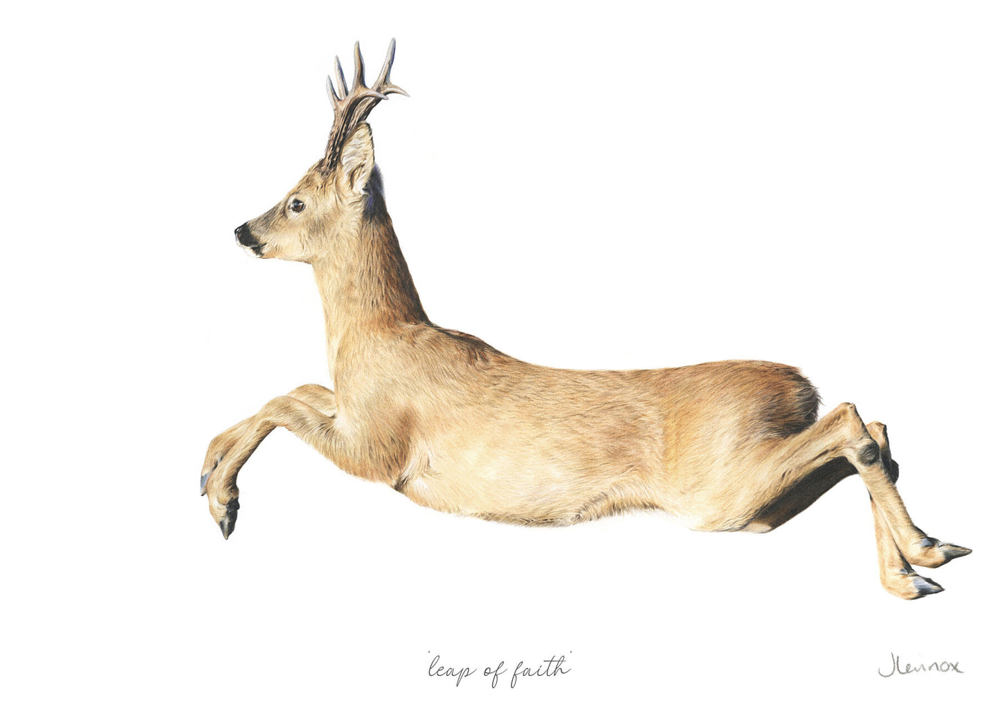 Leap of Faith