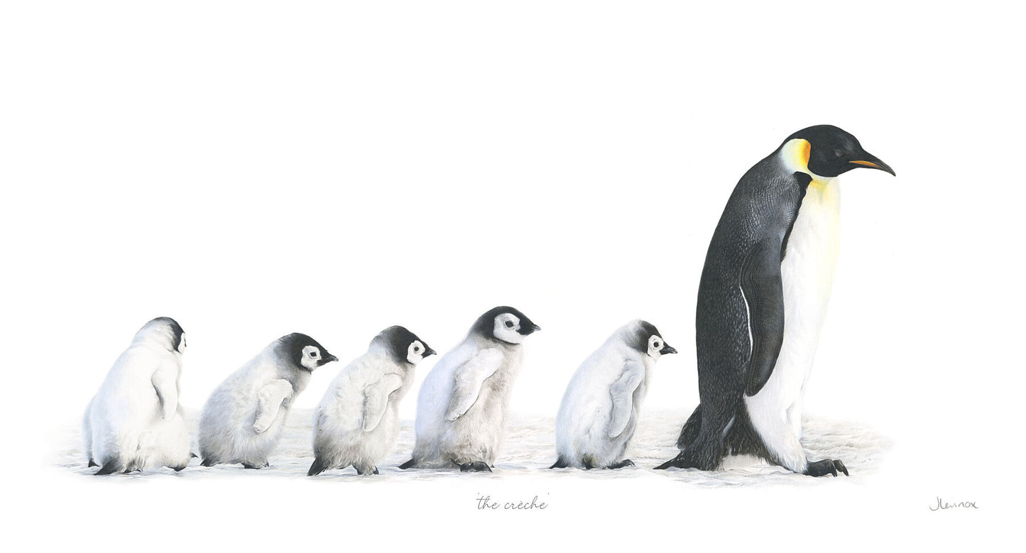 The Creche