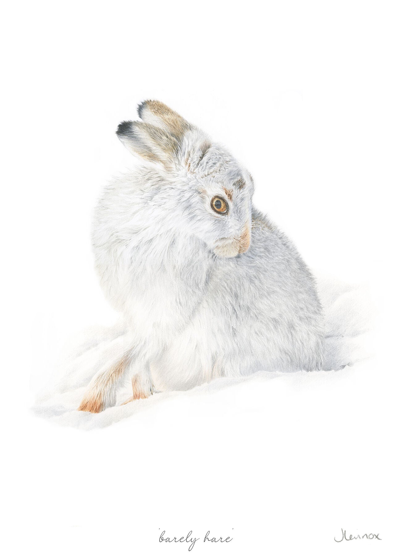 Barely Hare