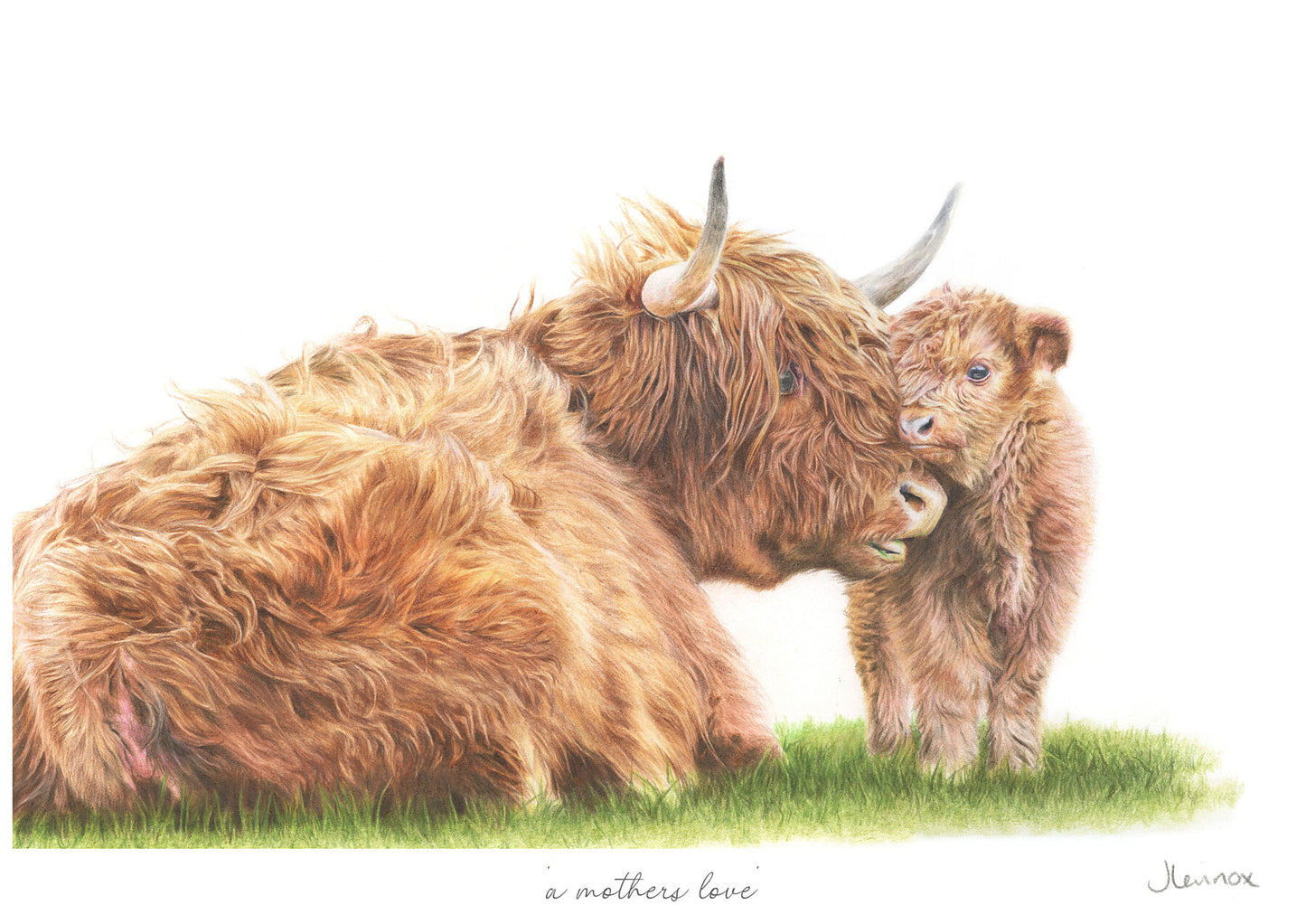 A Mothers Love