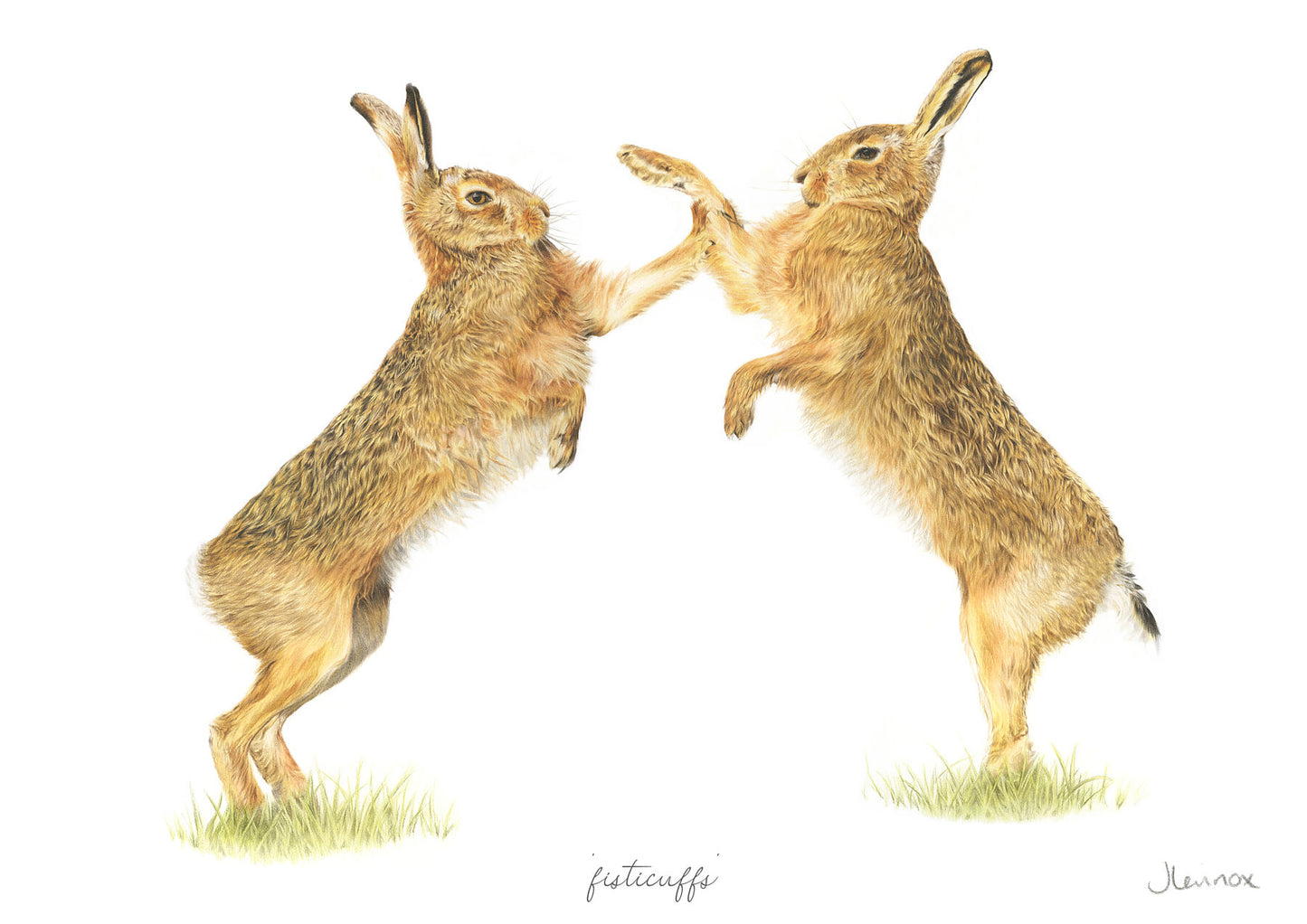 Fisticuffs