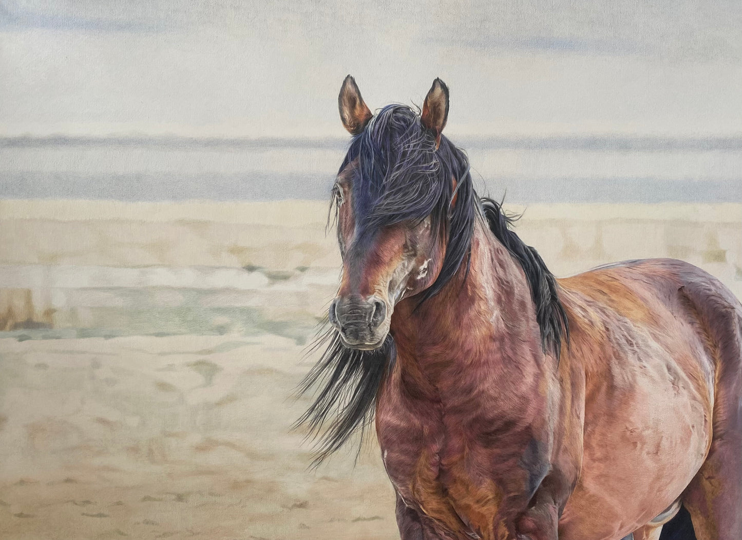Wild Horse Drawing Workshop