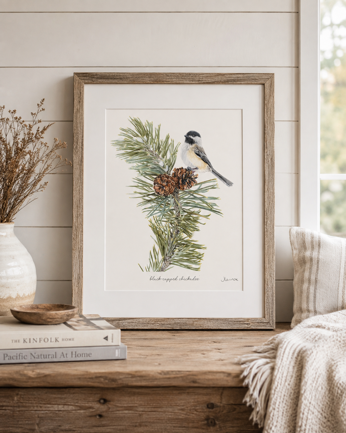 Black-Capped Chickadee