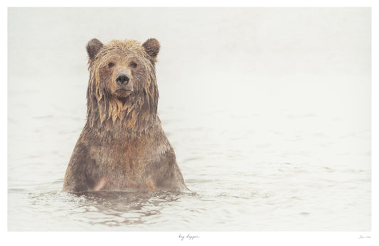 Grizzly Bear Workshop