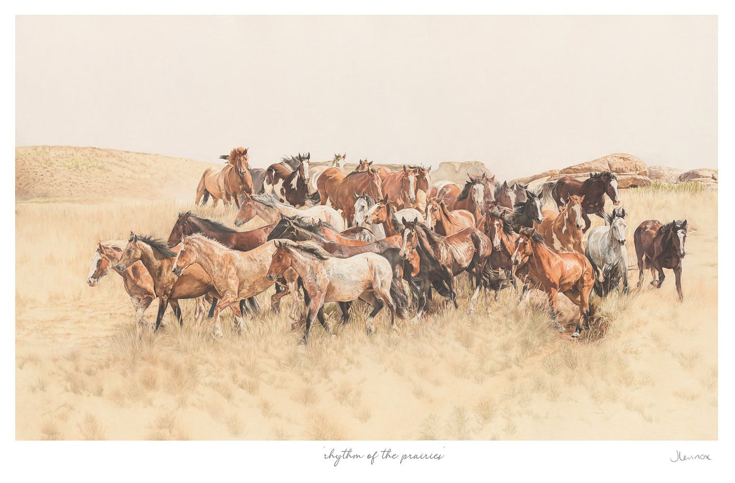 rhythm of the prairies 