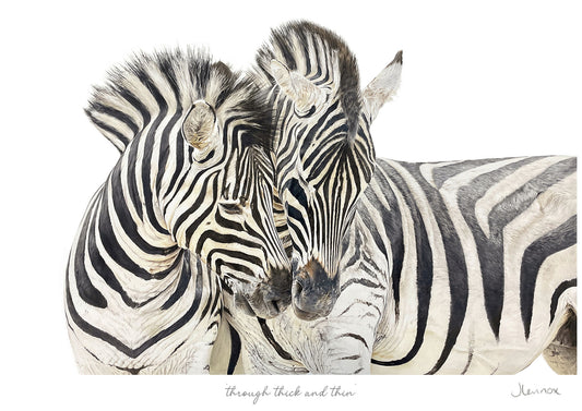 Through Thick and Thin