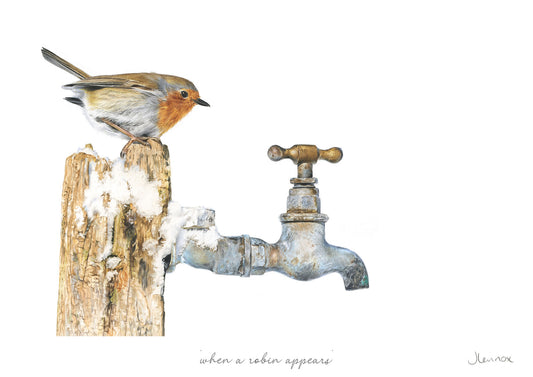 When A Robin Appears