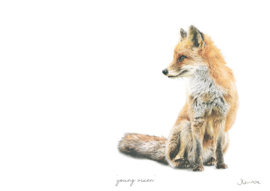Young Vixen
